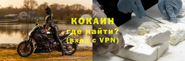 индика Аркадак
