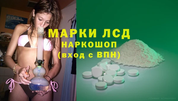 индика Аркадак
