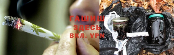индика Аркадак