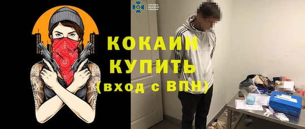 индика Аркадак
