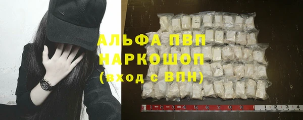 индика Аркадак