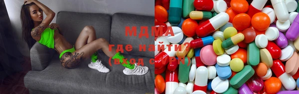 индика Аркадак