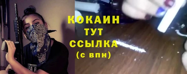 индика Аркадак